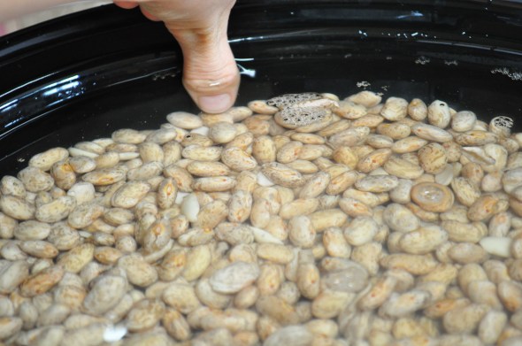 I don't know where I learned this trick, but it's how I do most of my dried beans. Just add water until it reaches my thumb knuckle when the tip of my thumb is touching the top of the beans.  