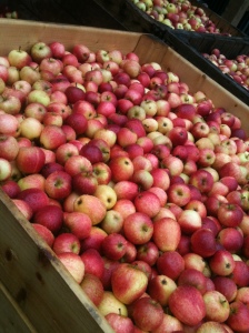 lotsa apples